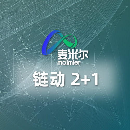 链动2+1
